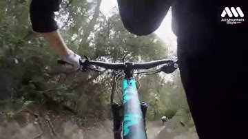 AMS Camo Frame Guards