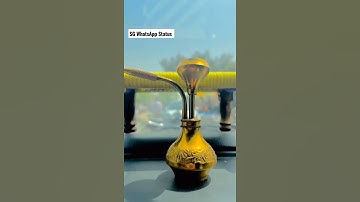 Hookah #shorts #status #video #trending #hooka #hookah #jaat #enjoy