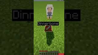 Minecraft Secret Nametags #shorts #minecraft