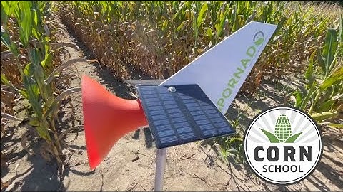 Corn School: Tackling tar spot with disease tracking technology