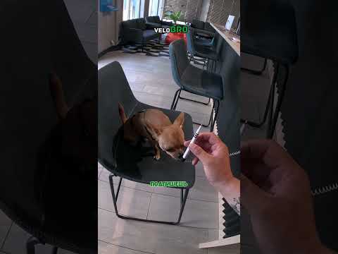 МикроБИЗНЕС Вместе @EternisJobPartner #dostawa#dog #доставка #dostawajedzenia #работа