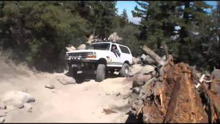 Full Size Broncos on Johnbull Trail