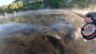 Umpqua River Smallmouth Bass ~ Looking For A Big One!