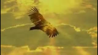 Lao Rojas song oun skal chet bong