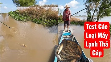 Test Đủ Các Loại Kích Lạnh, 60₫-80₫-100/ Cá Lăng Thác Lác Chèn Chốt Trê Trắng Vàng 