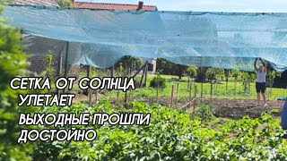 Сетка от Солнца улетает. Выходные прошли достойно. Выбираем обувь на выпускной.