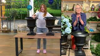 Barbara King 22' Tall Grecian Urn Resin Planter on QVC