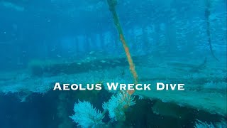 Aeolus North Carolina Wreck Dive 北卡羅納州沈船深潛