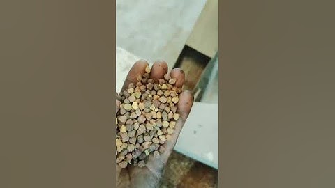 gravity separator machine 5 fan