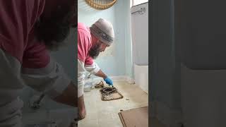 toilet leak  toilet repair  wax ring failure