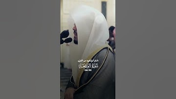 تلاوة جميلة جدا من شيخ#ياسر_الدوسري.. ||#quran #yasseraldossary #تلاوة_خاشعة#قران_كريم