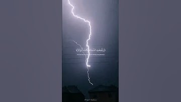 تلاوة عطرة من سورة النبأ |•🎧🍃