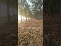 انا من أشهر الكلمات