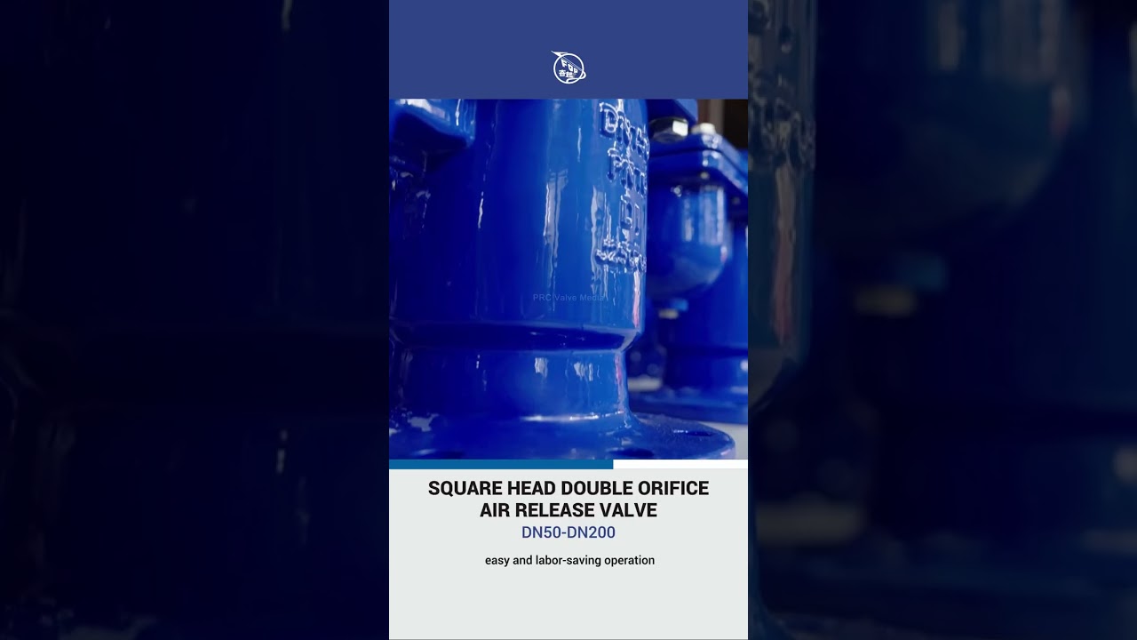 DN50-DN200 SQUARE HEAD DOUBLE ORIFICE AIR RELEASE -FENQI 