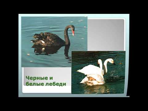 Урок краеведения "РОЕВ РУЧЕЙ"