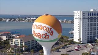 Pet Friendly Hotel Pensacola Beach, Fl Surf & Sand Hotel Pensacola Beach, Fl.