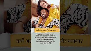 Reason Why Hardik Pandya And Natasha Got Divorce