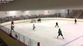 11.17 Umbrella Pp - Green 1