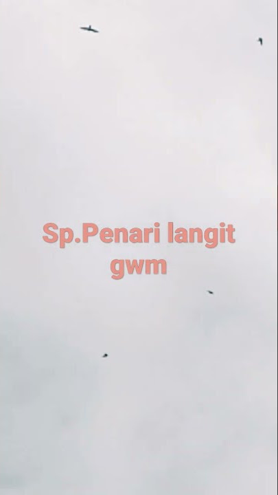 sang penari langit beraksi