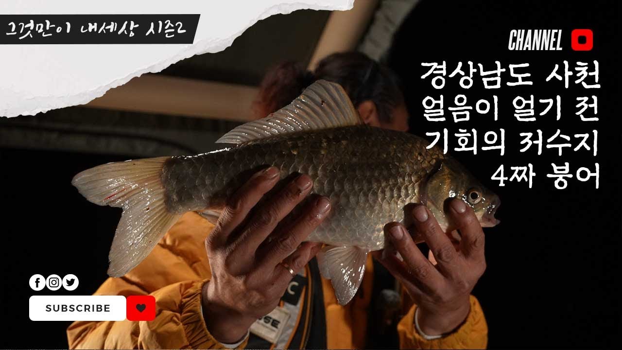 FTV 그것만이 내세상 시즌2 - 경상남도 사천 얼음이 얼기 전 기회의 저수지에서 만난 빵 좋은 대물 붕어들! #붕어낚시 #민물낚시 #찌올림