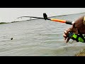 Amazing Fishing Mergel Fish Rohu Tilapia Fish Catching Fisherman Fish Catch