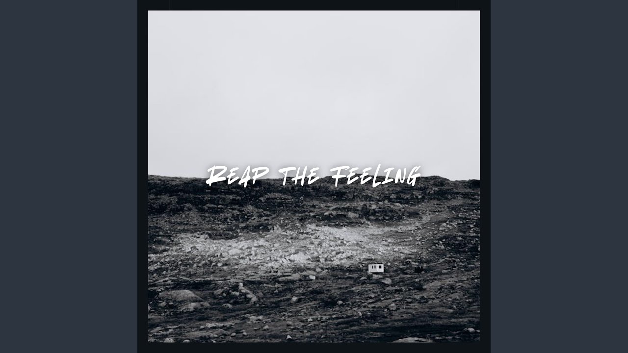 Reap the Feeling
