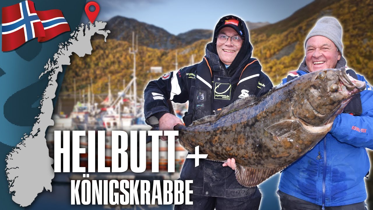 Horst in Action / Abenteuer Nordnorwegen 🇳🇴