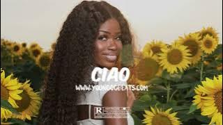 Afrobeat Instrumental 2023 | Oxlade X Ckay X Ronisia Type Beat 'CIAO' | Afro Zouk Type Beat