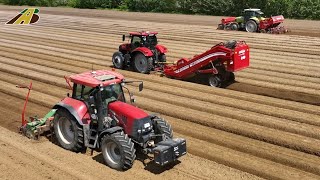 Großeinsatz beim Kartoffeln pflanzen 4x Traktor Case 1x Claas  Grimme Einblick in die Landwirtschaft