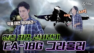 [무기대백과사전] 현존 최강, 전자전기 EA-18G 그라울러