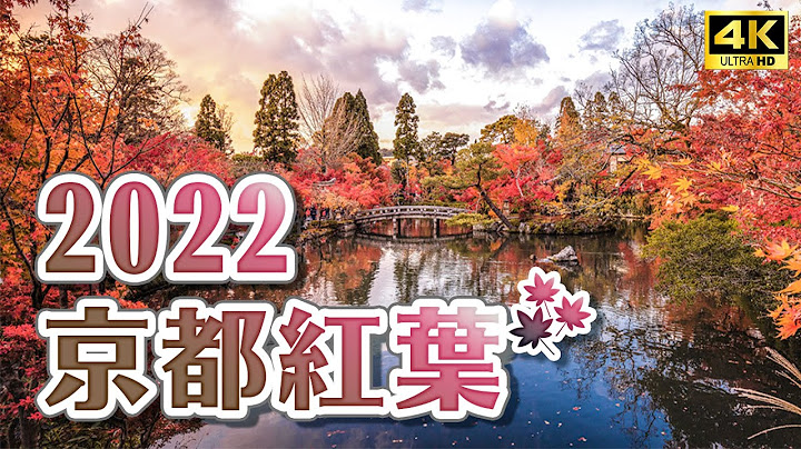 京都必看紅葉賞楓景點🍁南禪寺水路閣天授庵、永觀堂夜間點燈參拜、京都賞楓一日遊｜關西京都自由行・日本旅遊4K VLOG - 天天要聞