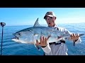 Most Epic Bonito Blitz Ever Ft LakeForkGuy