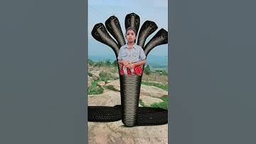 एक इच्छाधारी नागिन की कहानी🐍🙏// श्रावण स्पेशल//#shorts #youtubeshorts #snake #nagin #mahadev