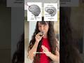 Why Do We Procrastinate According To Neuroscience mp3