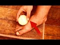 Ce que fait ce simple OIGNON à vos PIEDS va vous laisser SANS VOIX ! 😱