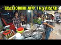 캄보디아에서 새우 1kg을 사보자! | 땅을 사고 싶다네요~ | 국제커플, 커플vlog, 한캄커플, 브이로그