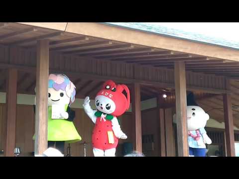 ♯開成町あじさいまつり　あじさいちゃん、えび～にゃ、えぼし麻呂🎤