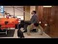 فادي ناطر ابن عم ه راضي و موت ر من هاللحظة 