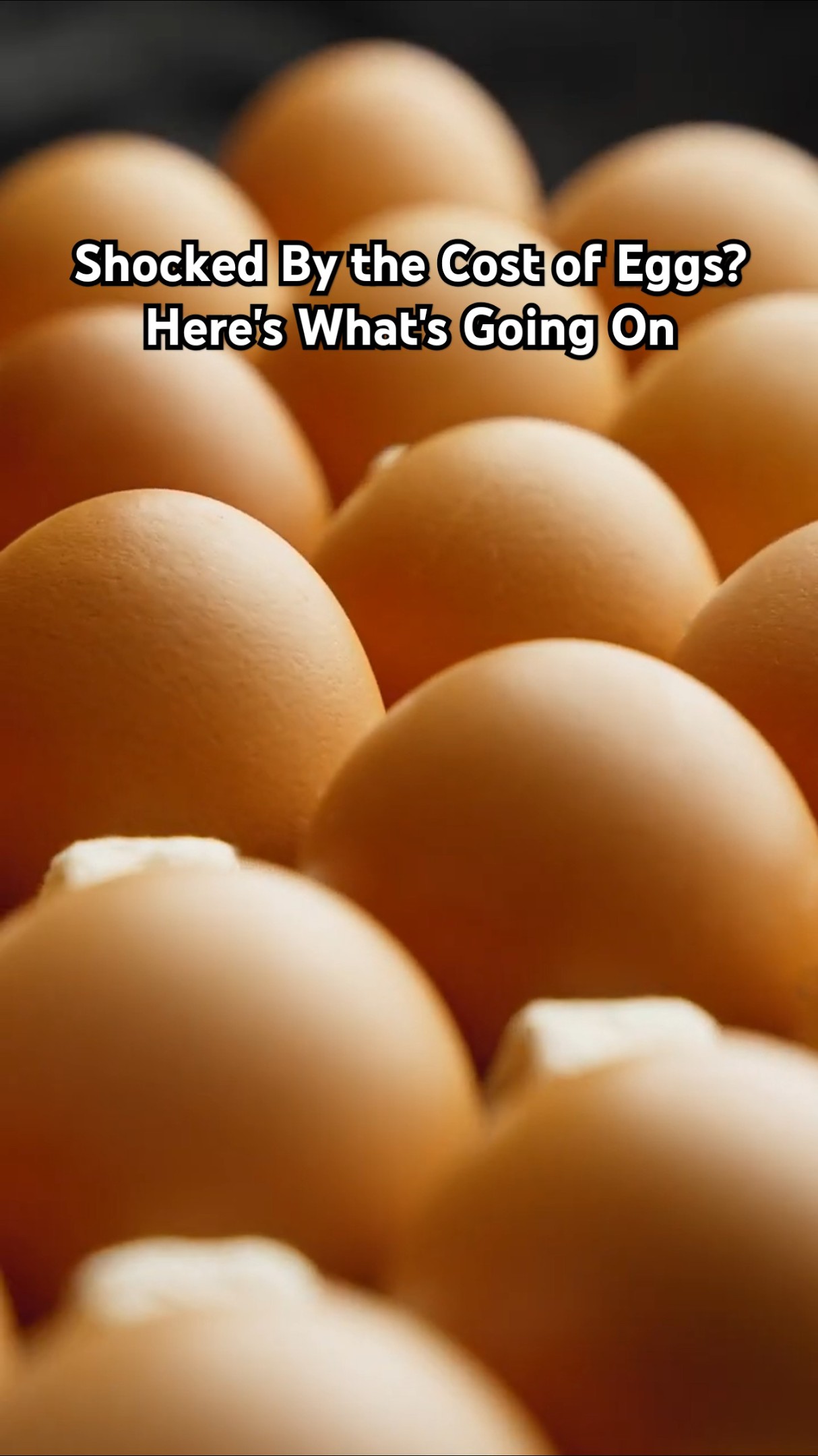 Shocked By the Cost of Eggs? Here's What's Going On