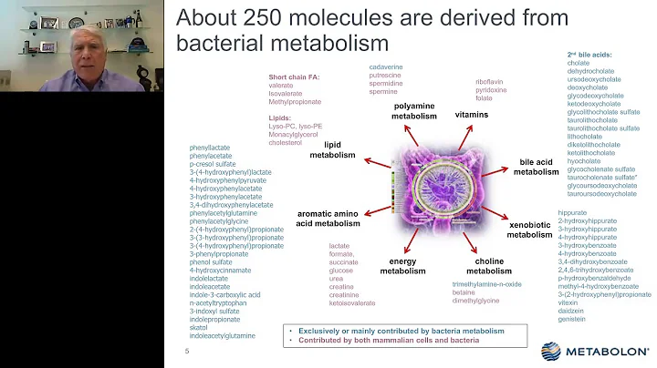 John Ryals - Metabolomics and its Role in Precisio...