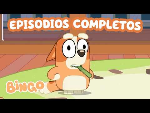 Bingo se convierte en un cerdito 🐽 | Episodios completos | Bingo - Español Canal Oficial
