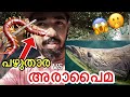 “പഴുതാരയെ”തിന്നാൽ അരാപൈമ ചാകുവോ??!!| feeding live lizard and centipede to Arapaima | Kerala aquarium
