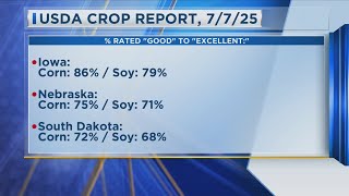 USDA Crop Report 7-8-25