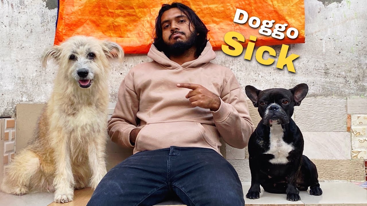 Snoopy what happened? 🥺