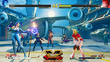 Street Fighter V: CE Akira vs Rose PC Mod
