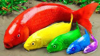Best Of Small Fish Recipe | MINIATURE Fish Cooking Made EASY with Simple Recipe