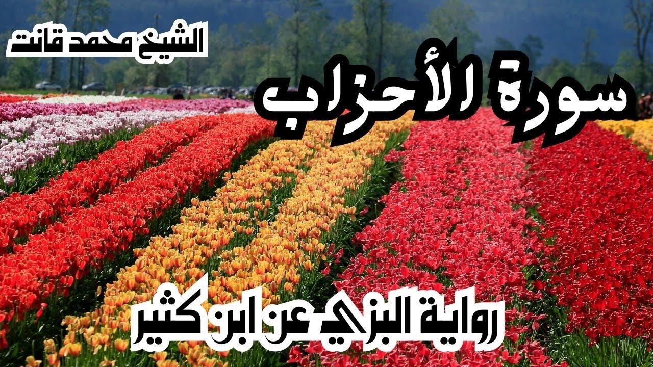 033 - سورة الأحزاب برواية البزي عن ابن كثير للشيخ محمد قانت المراكشي