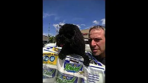 Morry Gonte Pics(Habibi Bear)