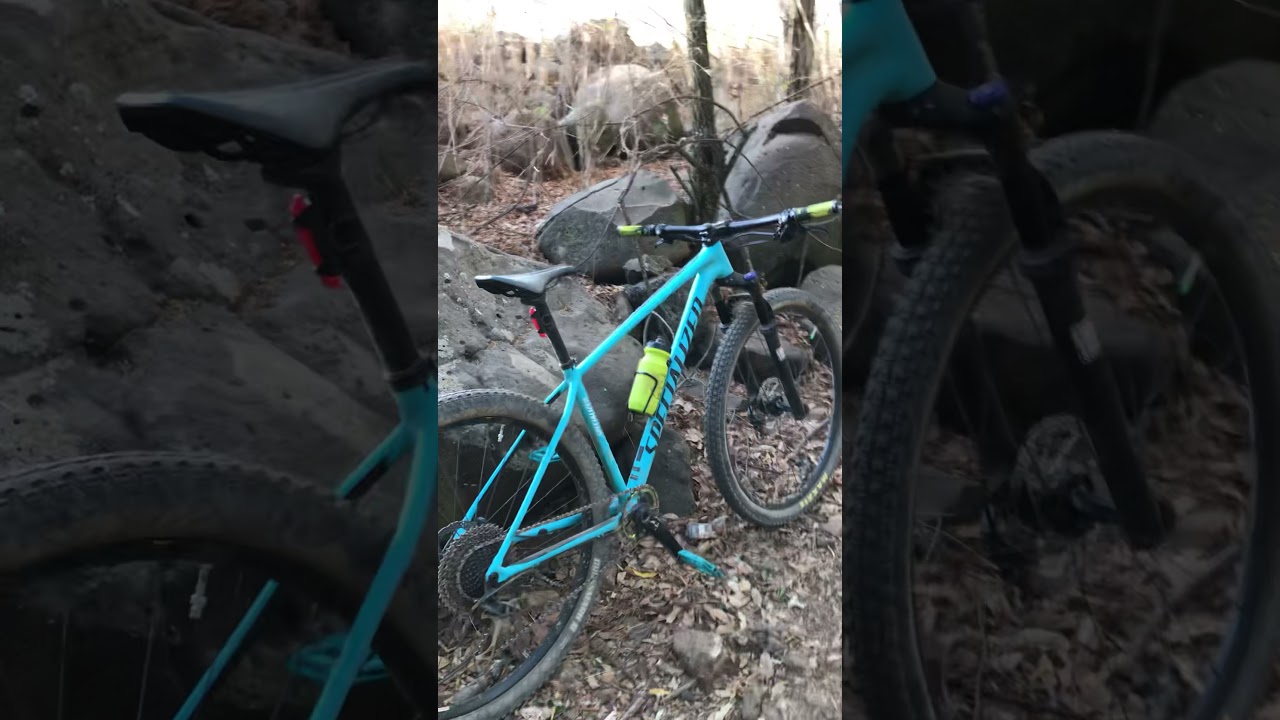 Specialized chisel 2018