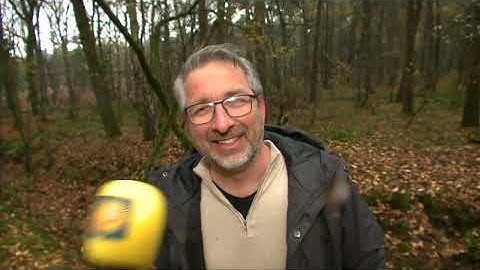 Werkzaamheden bosgebied west